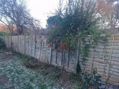 Before: Old damaged fencing